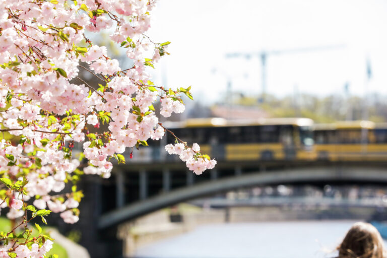 Turun kaupunkiseudun kevät täydessä vauhdissa